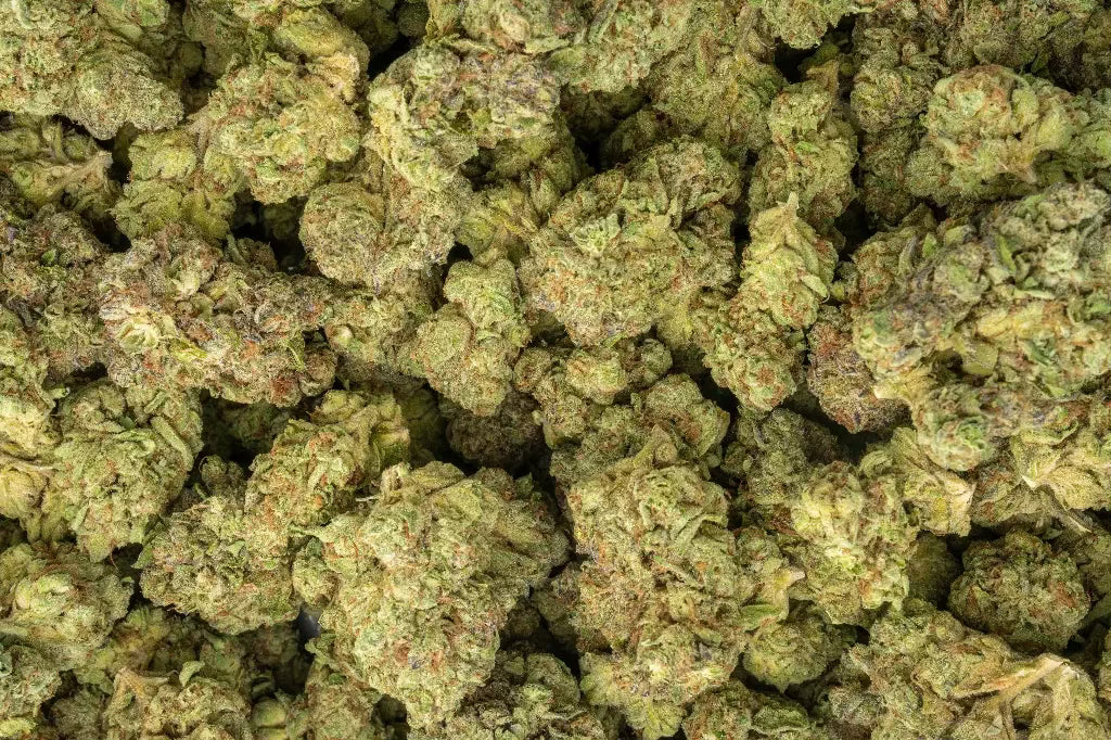 Purple Cream