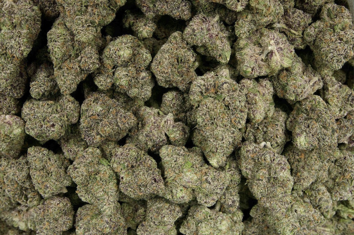 Purple Urkle