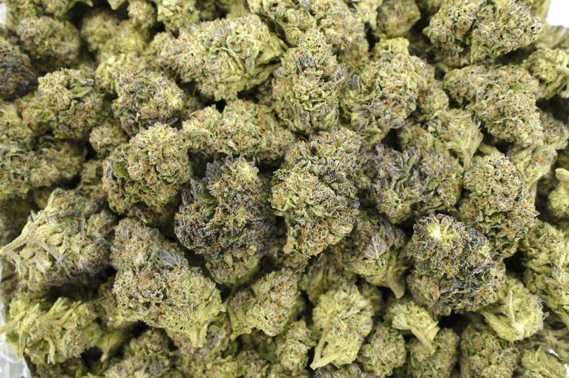 Rainbow Latte 25% THCa Sativa - Top Shelf Ounce