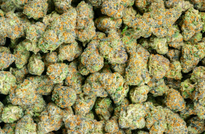 Original Glue 26% Indica - Midgrade/Lows THCA Flower Quarter Pound