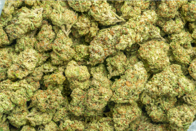 Sour Patch Candy