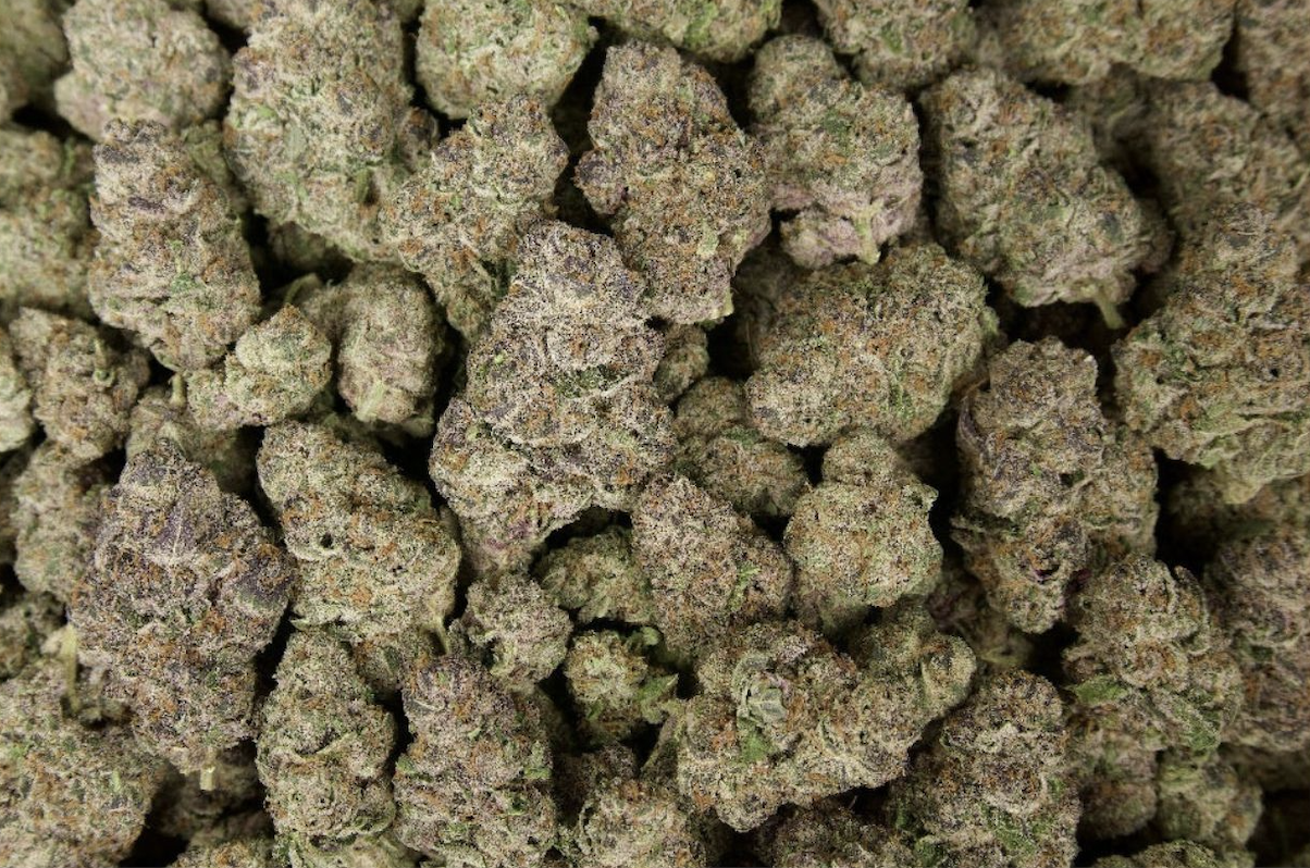 Stardawg Guava