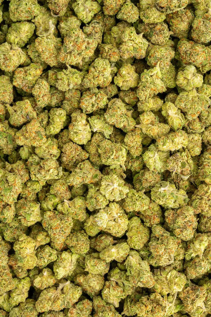 Herban Bud Premium Hybrid THCa Flower – Star Fighter
