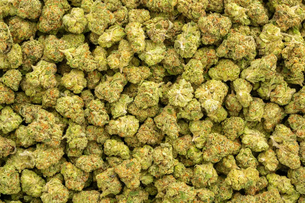 Premium Hybrid THCa Flower