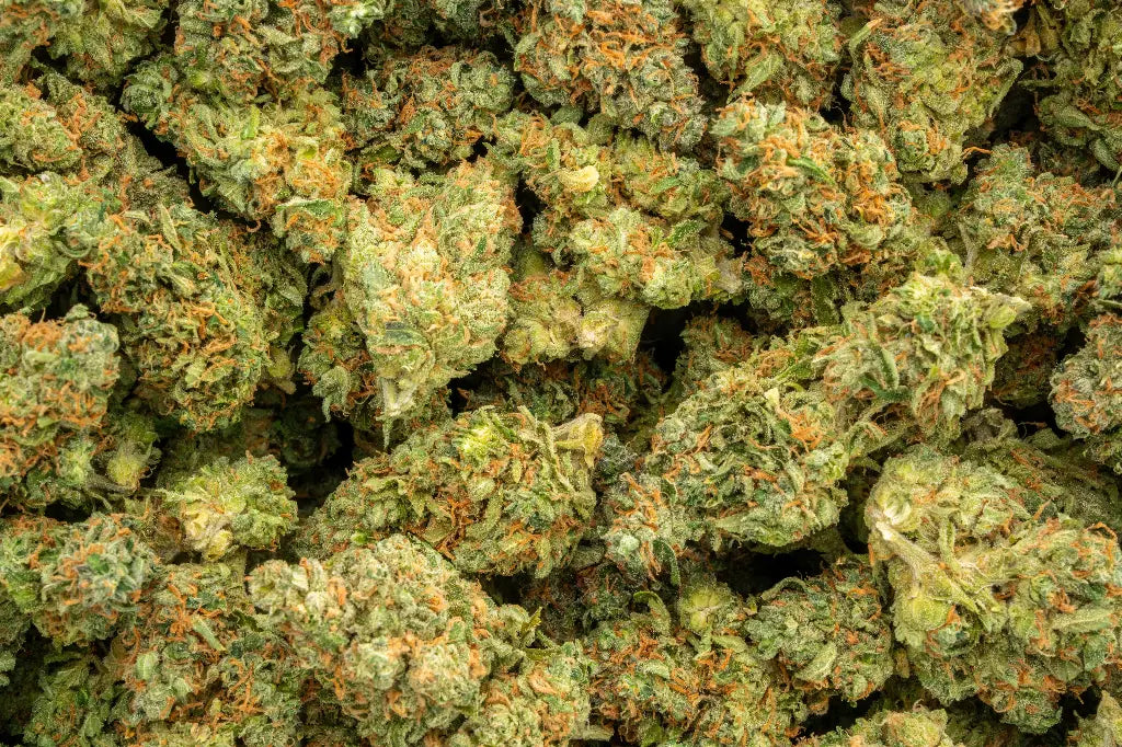 Super Lemon Haze