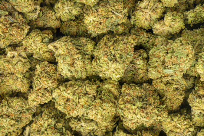 #10 GG4 x Rozay