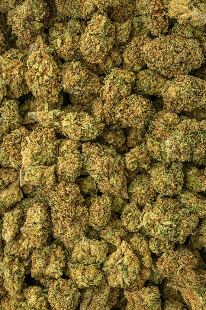 Herban Bud Premium Hybrid THCa Flower – Sweet Melon