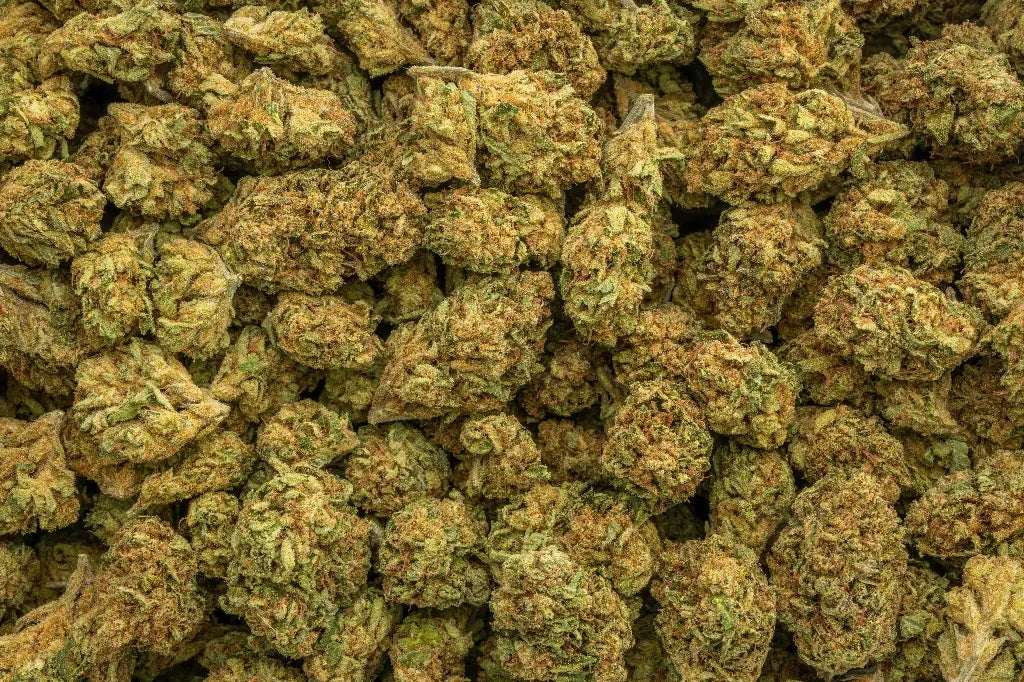 Premium Hybrid THCa Flower