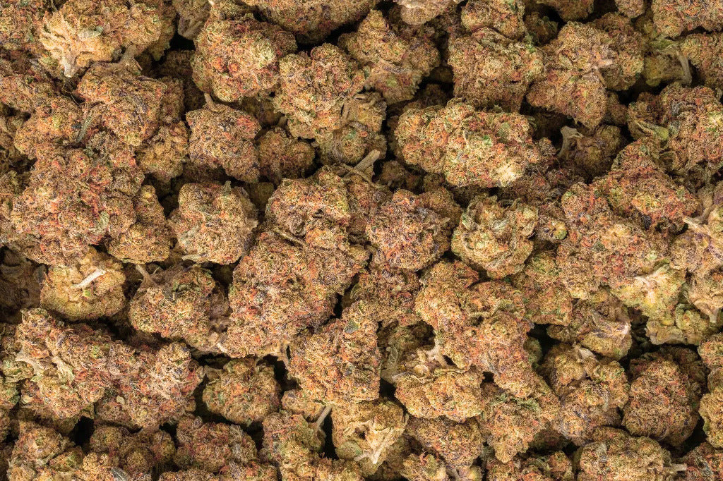 Tropicana Cherry