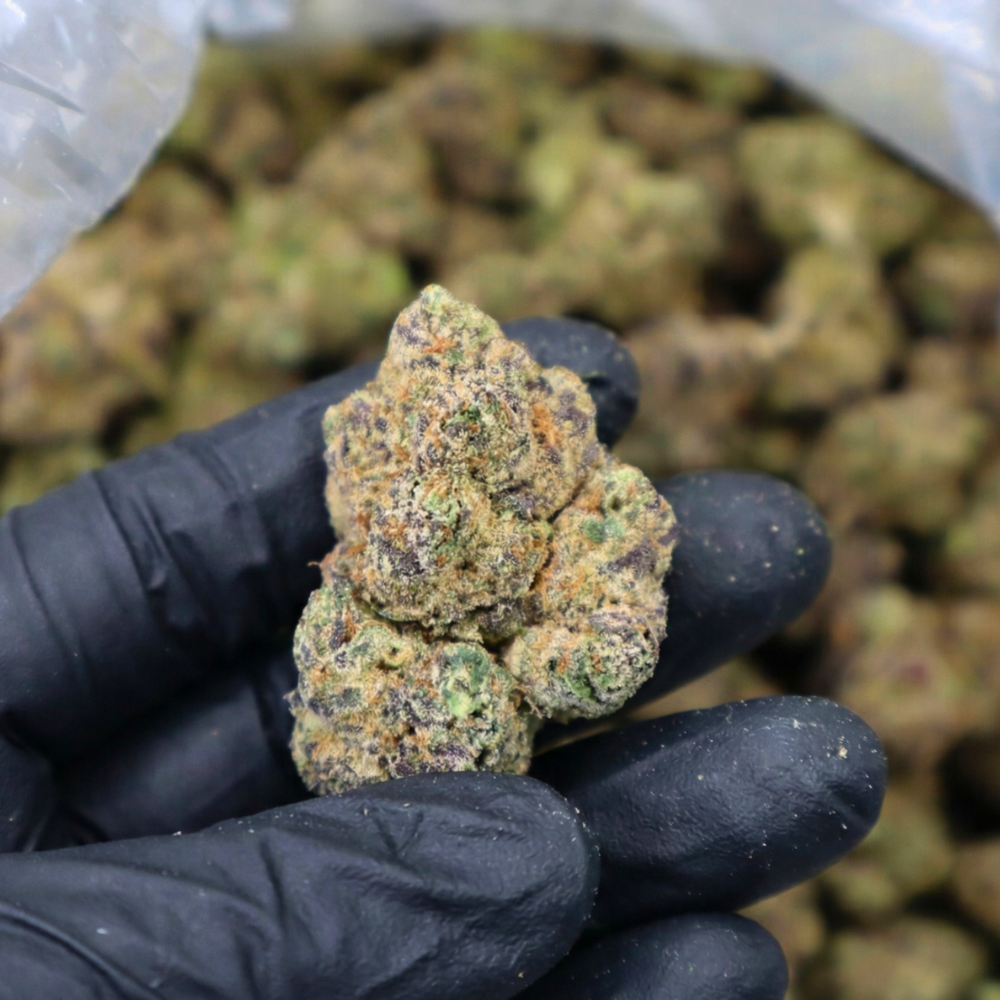 Exotic Pressure Runtz - Hybrid - THCa Flower 3.5g